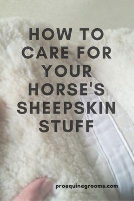 care for your horse's sheepskin