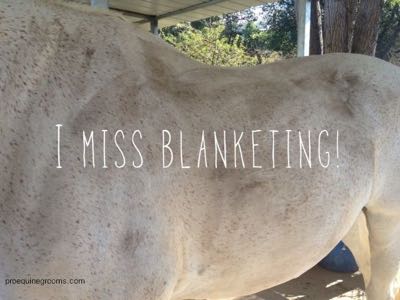 miss-blanketing