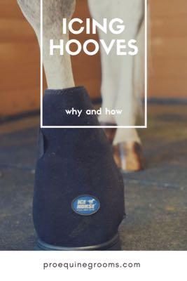 why ice horse hooves