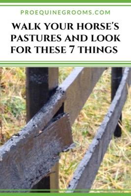 look for these things in your horse pastures