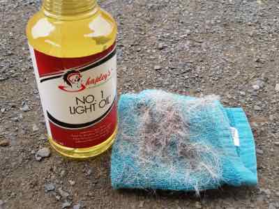 Light oil removes extra hair from shedding horses