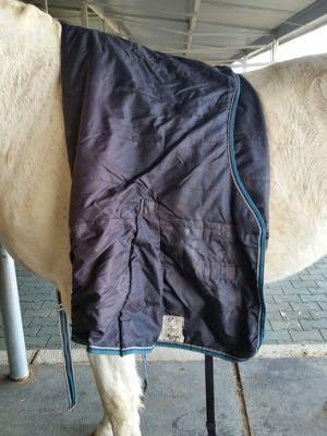 horse blanket folded into thirds on a horse