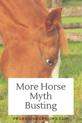 more-horse-myths