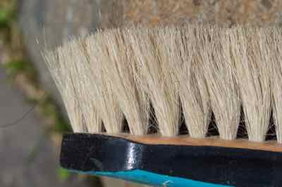 close up of soft brush