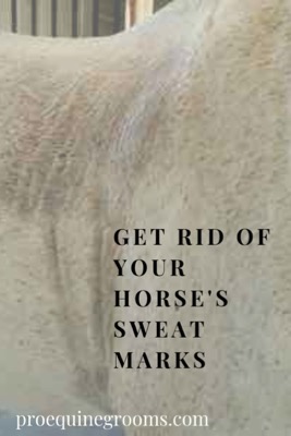 sweat marks on your horse