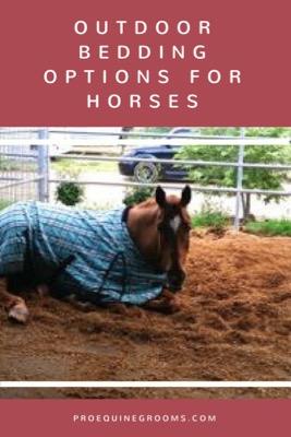outdoor bedding for horses