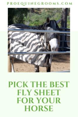 pick the best fly sheet for your horse