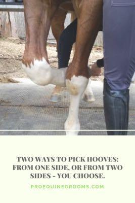 two ways to pick hooves