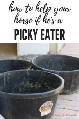 horse is a picky eater