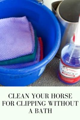 prep your horse for clipping