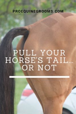 pull your horse's tail or not