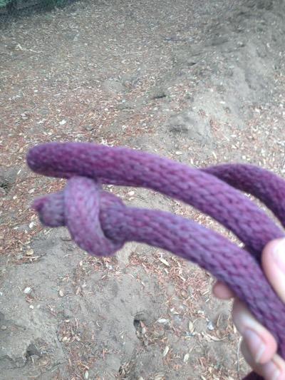 purple lead rope with knotted end
