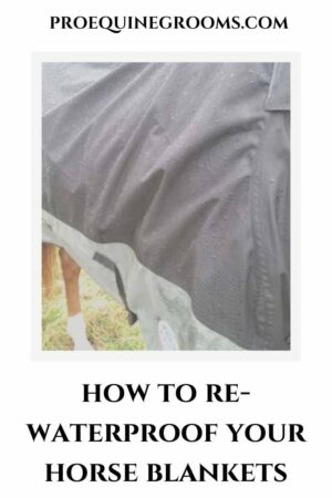 re-waterproof your horse blankets