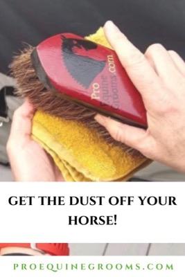 get the dust off your horse