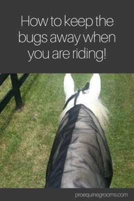 keep the bugs away while you are riding