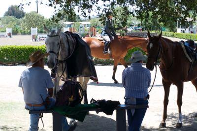 grooms waiting with their horses under trees