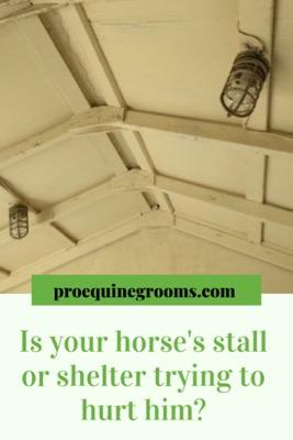 how safe is your horse's stall