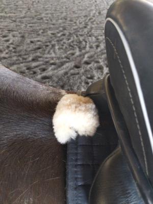 sheepskin fluff on back of saddle pad to prevent rubs