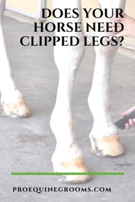 should you clip your horse's legs