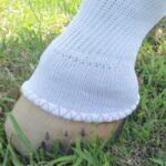 white hoof standing in grass with a sock on