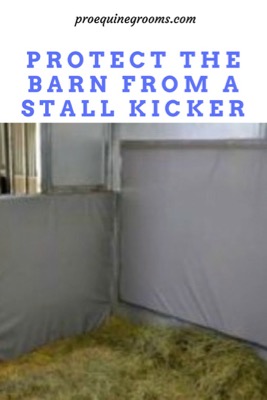 protect the barn from a stall kicker