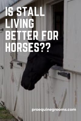 stall living better for horses
