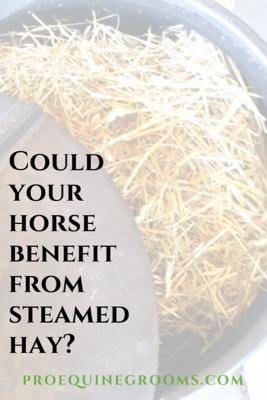 benefit from steamed hay