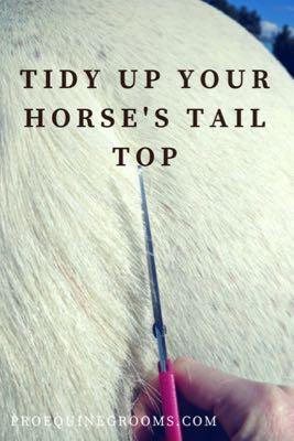 how to trim the top of your horse's tail