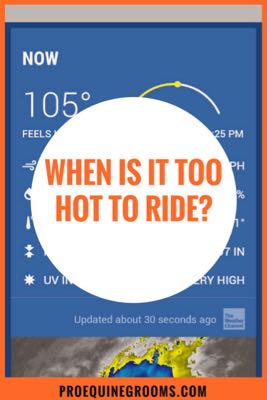 too-hot-to-ride-horse