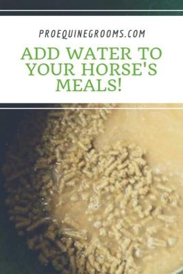 add water to your horse's meals