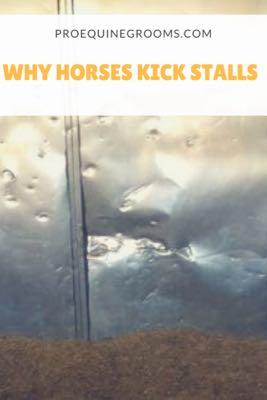 horse-stall-kicking