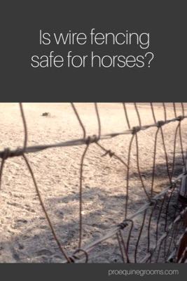 is your horse's wire fencing