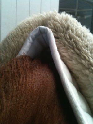 horse saddle pad tucked into gullet of saddle