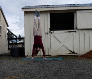 yoga handstand at the barn