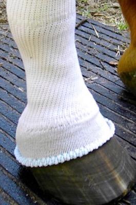 silver whinny sox for horses covering top of hoof and leg