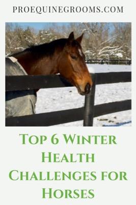 winter health challenges for horses