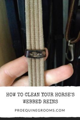 clean your horse's webbed reins
