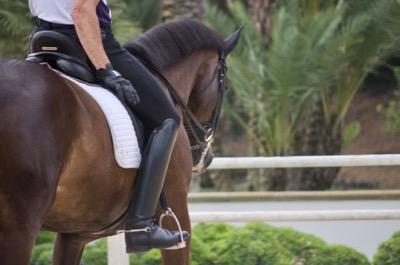 olympic rider petting his horse behind the saddle