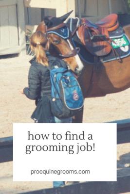 how to find a grooming job