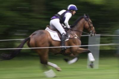 event horse galloping