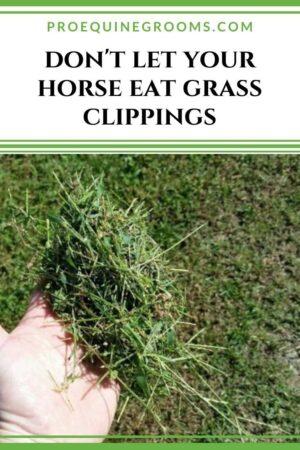 clippings of grass are dangerous for horses