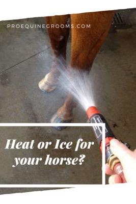 ice or heat for horses