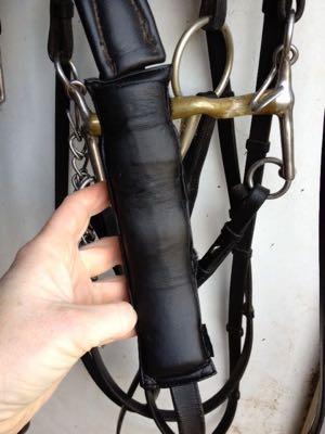 padding on bridle cavesson