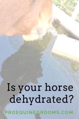 is your horse dehydrated
