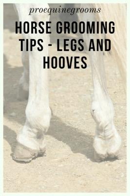 horse grooming tips for hooves and legs
