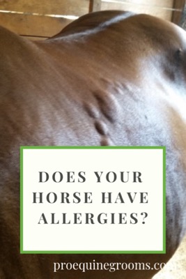 does your horse have allergies