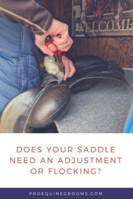 does your saddle need an adjustment