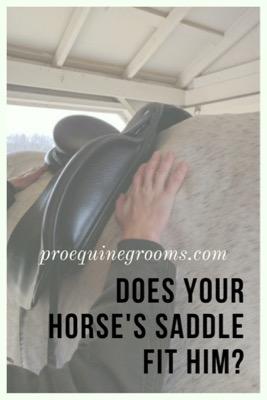 saddle fit for horses