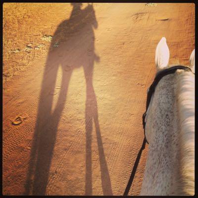horse shadow on a trail ride