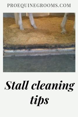stall cleaning tips